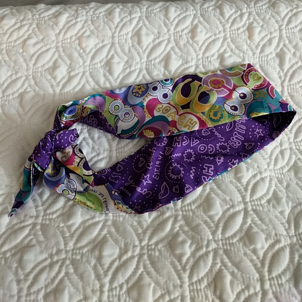 Coach pony purse scarf, multi-colored, silk